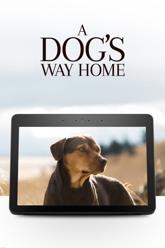 A DOG'S WAY HOME VOICE